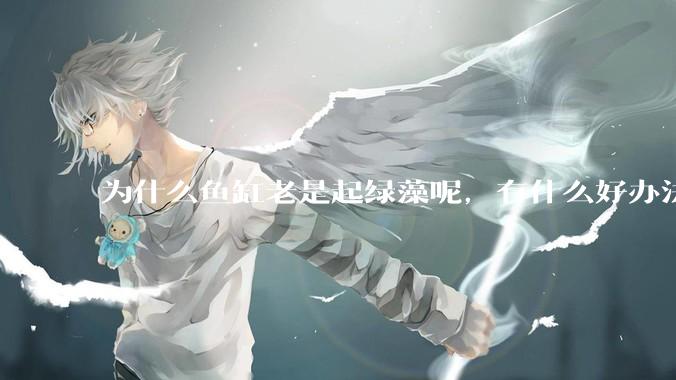 为什么鱼缸老是起绿藻呢，有什么好办法不用整天擦鱼缸？