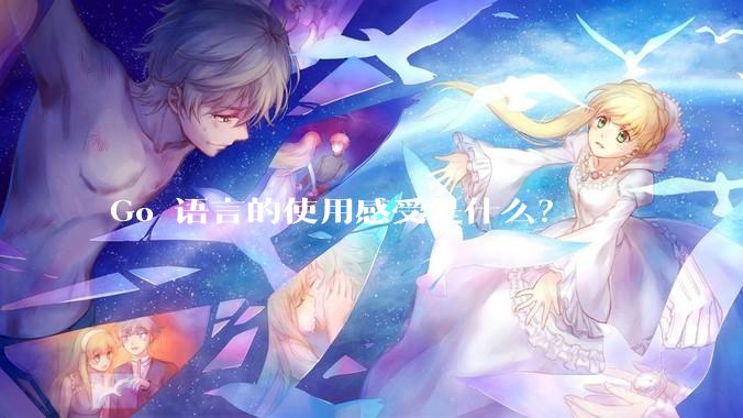 Go 语言的使用感受是什么？