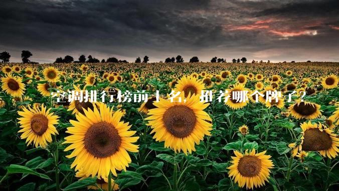 空调排行榜前十名，推荐哪个牌子？