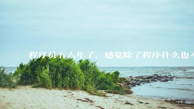 程序员五六年了，感觉除了程序什么也不懂，很焦虑怎么办？