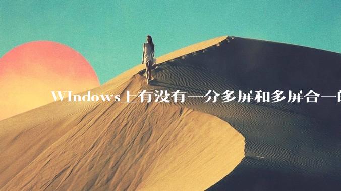 Windows上有没有一分多屏和多屏合一的软件？