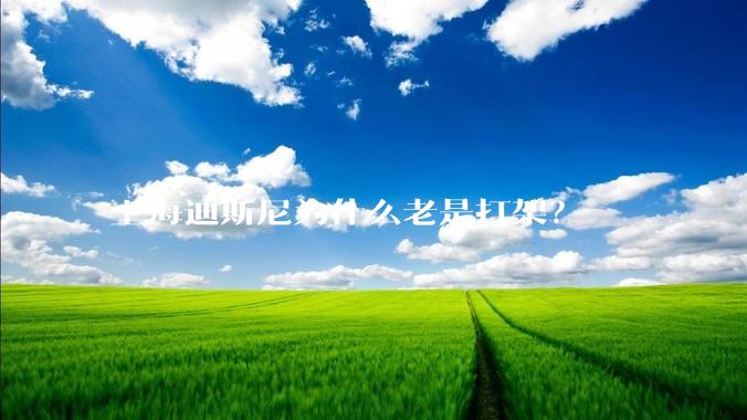 上海迪斯尼为什么老是打架？
