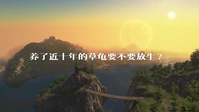 养了近十年的草龟要不要放生?